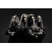 Machine Head